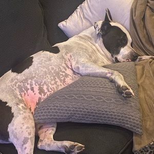 Meet your Posher, Chantel